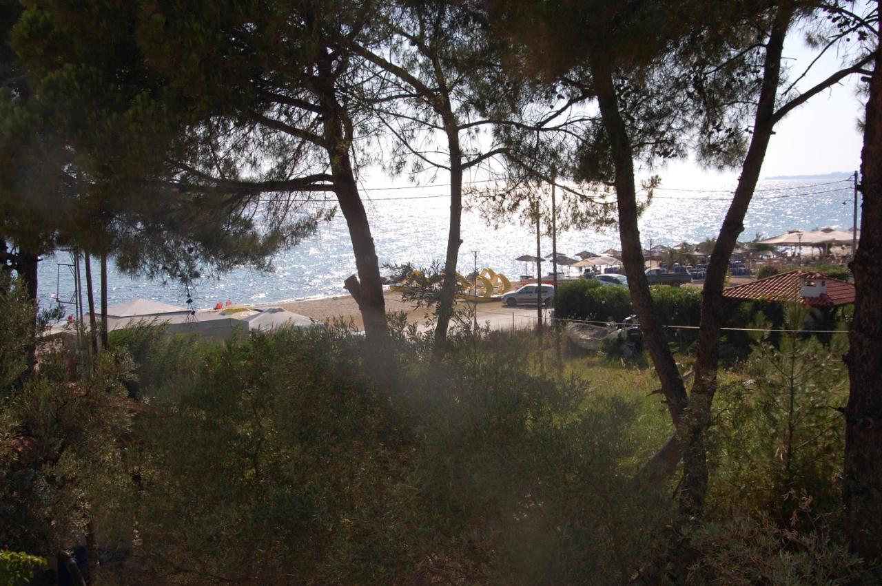 Villa Miranda Nikiti  Exterior photo